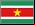 Emisoras de noticias de Suriname